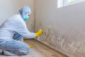 Best Crawl Space Mold Remediation  in Myrtle Grove, NC